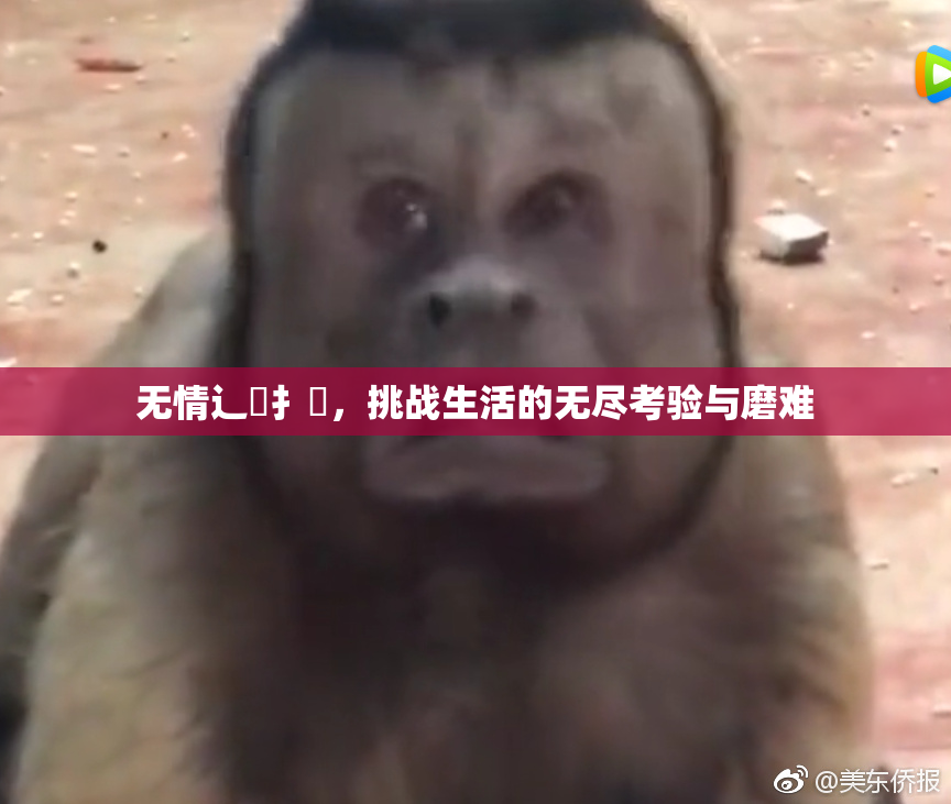 无情辶喿扌畐，挑战生活的无尽考验与磨难