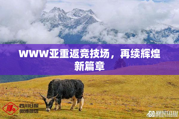 WWW亚重返竞技场，再续辉煌新篇章