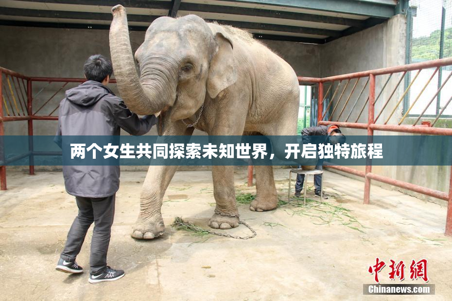 两个女生共同探索未知世界，开启独特旅程