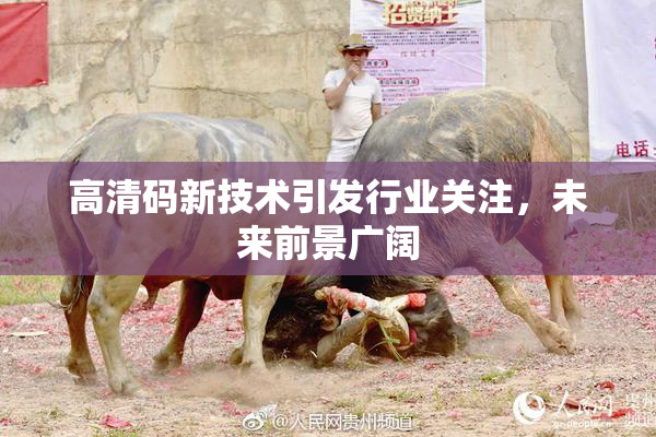 高清码新技术引发行业关注，未来前景广阔