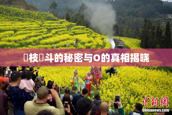 狛枝凪斗的秘密与O的真相揭晓