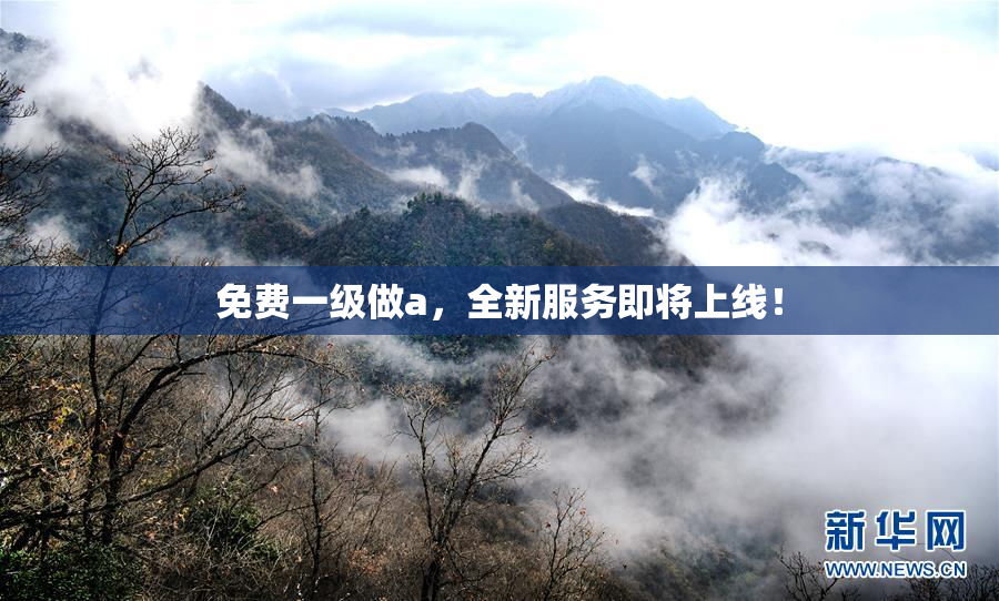 免费一级做a，全新服务即将上线！
