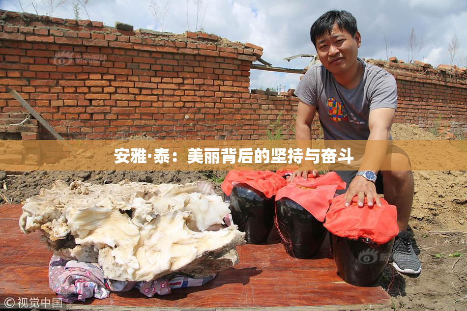 安雅·泰：美丽背后的坚持与奋斗