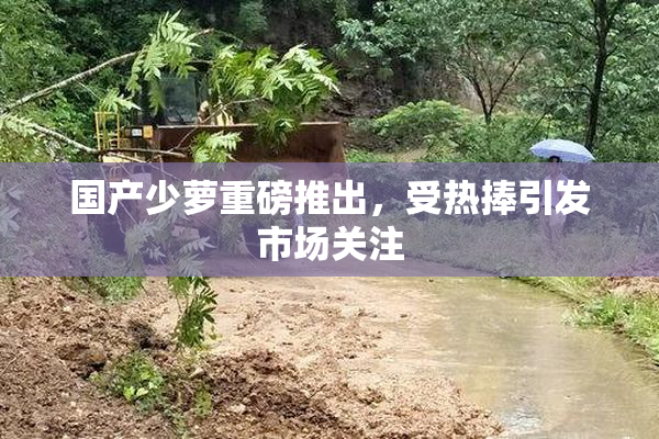 国产少萝重磅推出，受热捧引发市场关注