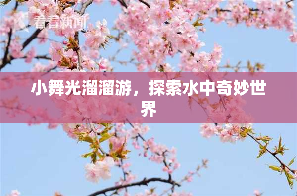 小舞光溜溜游，探索水中奇妙世界
