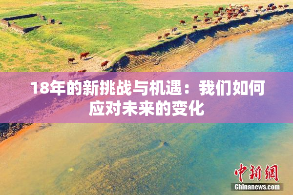 18年的新挑战与机遇：我们如何应对未来的变化