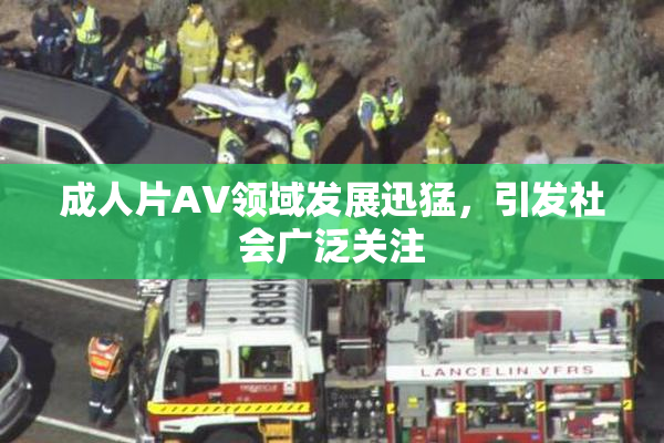 成人片AV领域发展迅猛，引发社会广泛关注