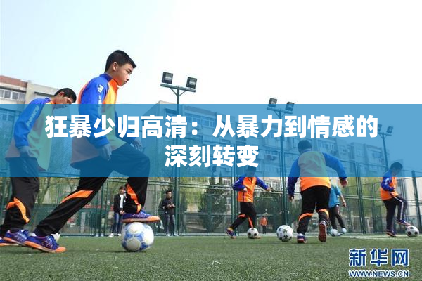 狂暴少归高清：从暴力到情感的深刻转变