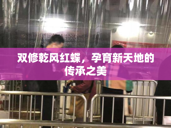 双修乾风红蝶，孕育新天地的传承之美