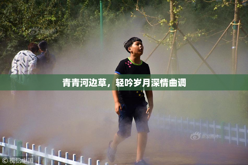 青青河边草，轻吟岁月深情曲调