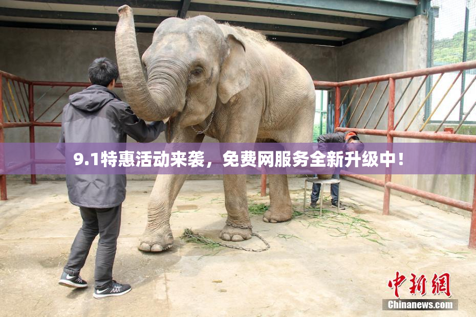 9.1特惠活动来袭，免费网服务全新升级中！
