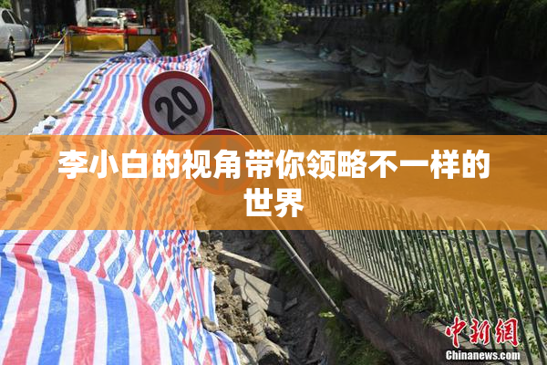 李小白的视角带你领略不一样的世界