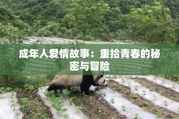成年人爱情故事：重拾青春的秘密与冒险