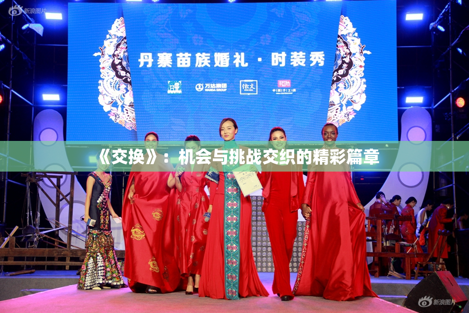 《交换》：机会与挑战交织的精彩篇章