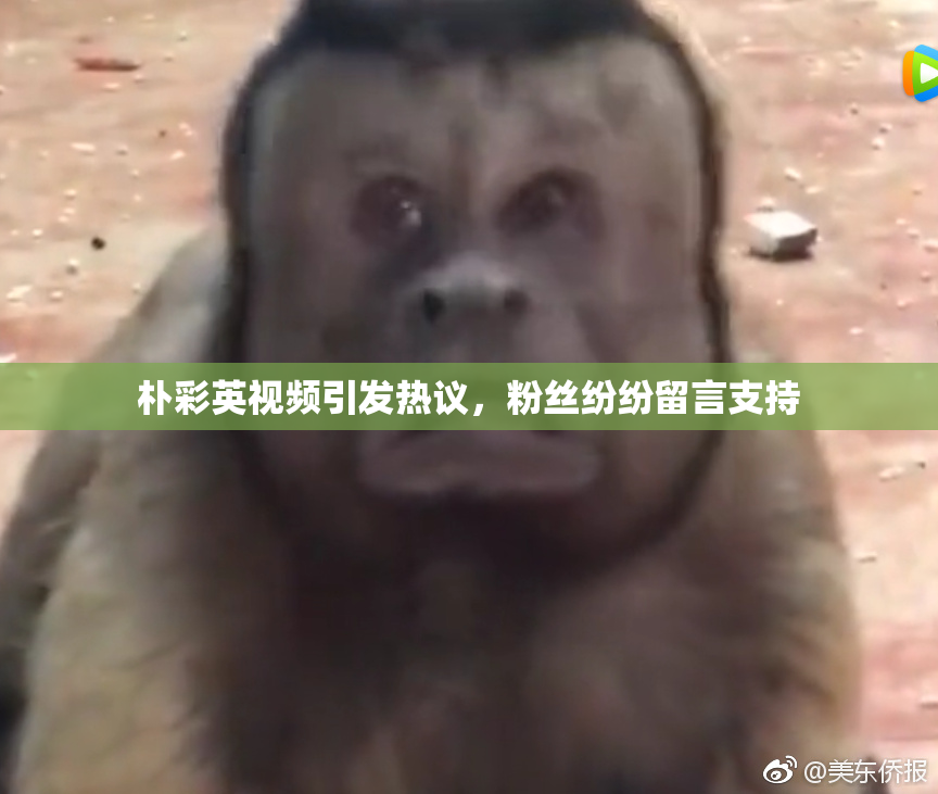 朴彩英视频引发热议，粉丝纷纷留言支持