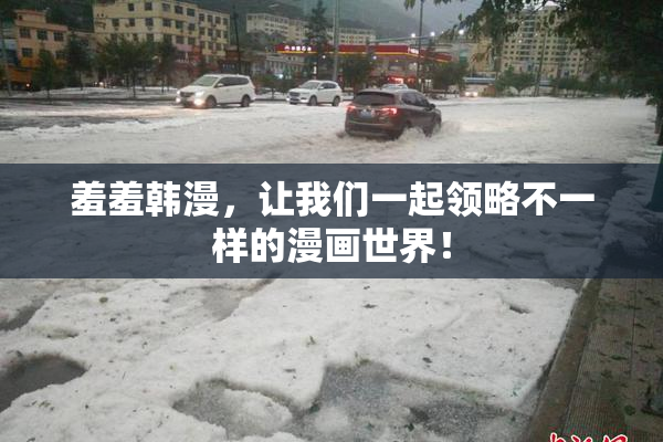 羞羞韩漫，让我们一起领略不一样的漫画世界！