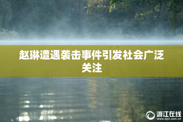 赵琳遭遇袭击事件引发社会广泛关注
