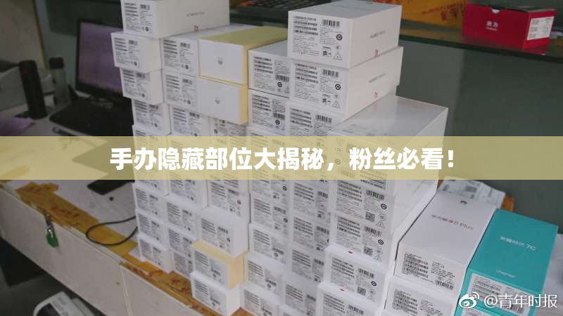 手办隐藏部位大揭秘，粉丝必看！