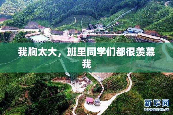 我胸太大，班里同学们都很羡慕我