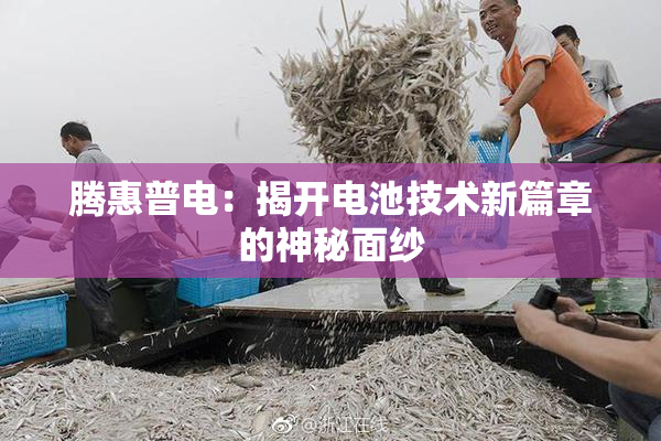 腾惠普电：揭开电池技术新篇章的神秘面纱