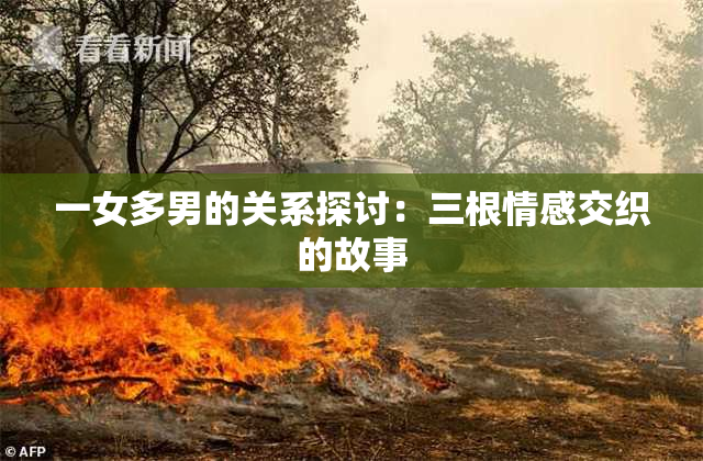 一女多男的关系探讨：三根情感交织的故事