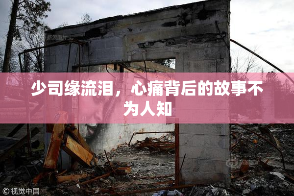 少司缘流泪，心痛背后的故事不为人知