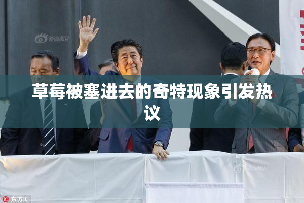 草莓被塞进去的奇特现象引发热议