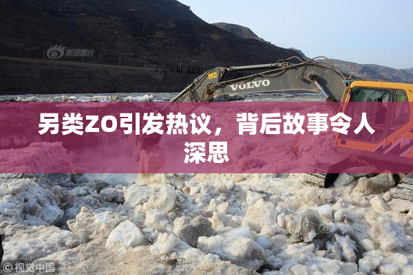 另类ZO引发热议，背后故事令人深思