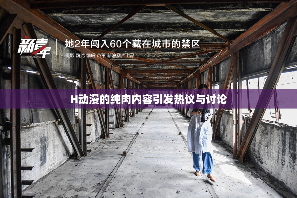H动漫的纯肉内容引发热议与讨论