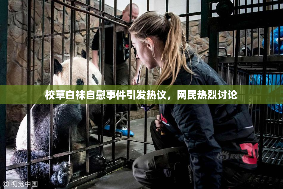 校草白袜自慰事件引发热议，网民热烈讨论