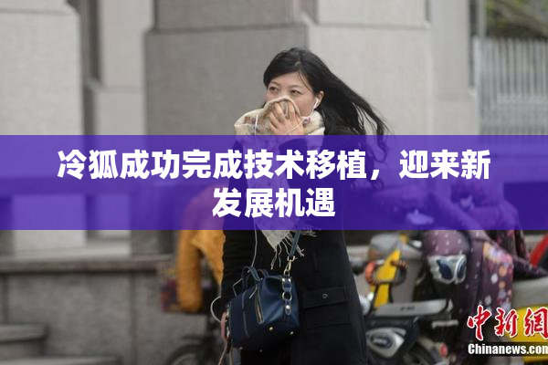 冷狐成功完成技术移植，迎来新发展机遇