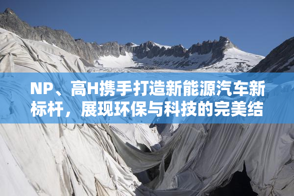 NP、高H携手打造新能源汽车新标杆，展现环保与科技的完美结合。