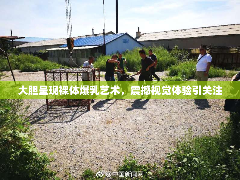 大胆呈现裸体爆乳艺术，震撼视觉体验引关注