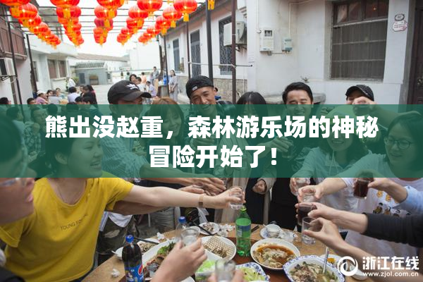 熊出没赵重，森林游乐场的神秘冒险开始了！