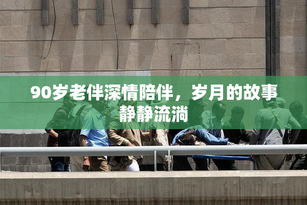 90岁老伴深情陪伴，岁月的故事静静流淌