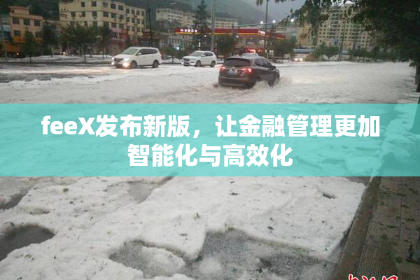 feeX发布新版，让金融管理更加智能化与高效化