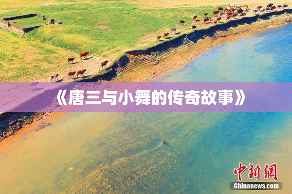 《唐三与小舞的传奇故事》