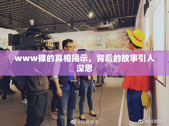 www裸的真相揭示，背后的故事引人深思