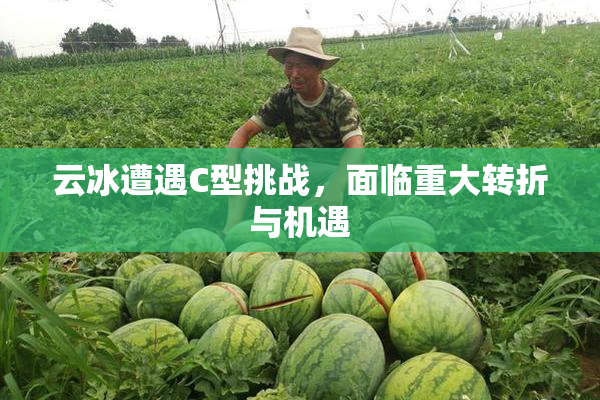 云冰遭遇C型挑战，面临重大转折与机遇