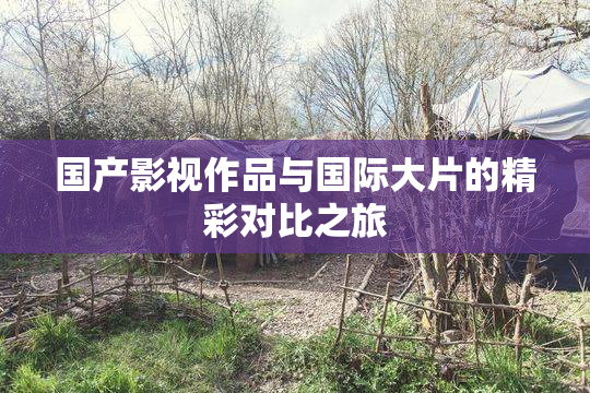 国产影视作品与国际大片的精彩对比之旅