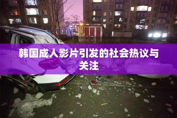 韩国成人影片引发的社会热议与关注