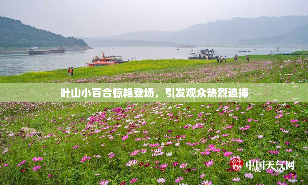 叶山小百合惊艳登场，引发观众热烈追捧