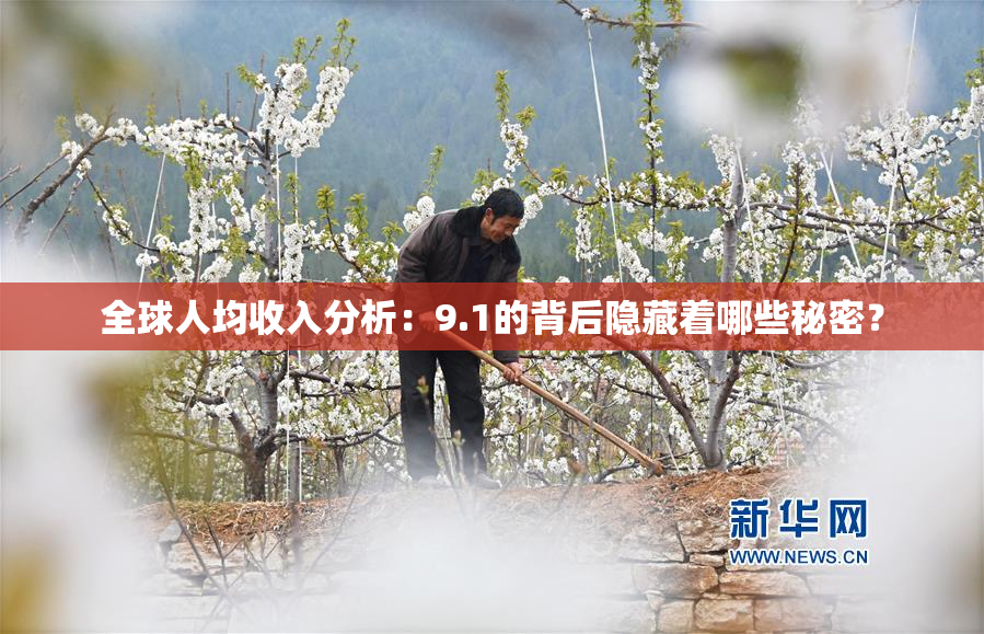 全球人均收入分析：9.1的背后隐藏着哪些秘密？