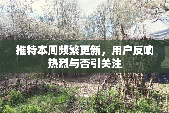 推特本周频繁更新，用户反响热烈与否引关注
