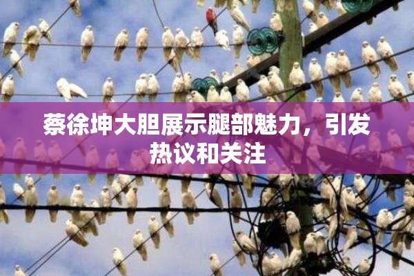 蔡徐坤大胆展示腿部魅力，引发热议和关注