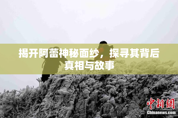 揭开阿蕾神秘面纱，探寻其背后真相与故事