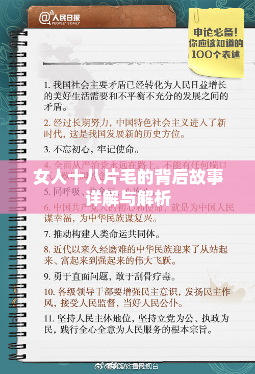 女人十八片毛的背后故事详解与解析