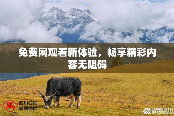 免费网观看新体验，畅享精彩内容无阻碍