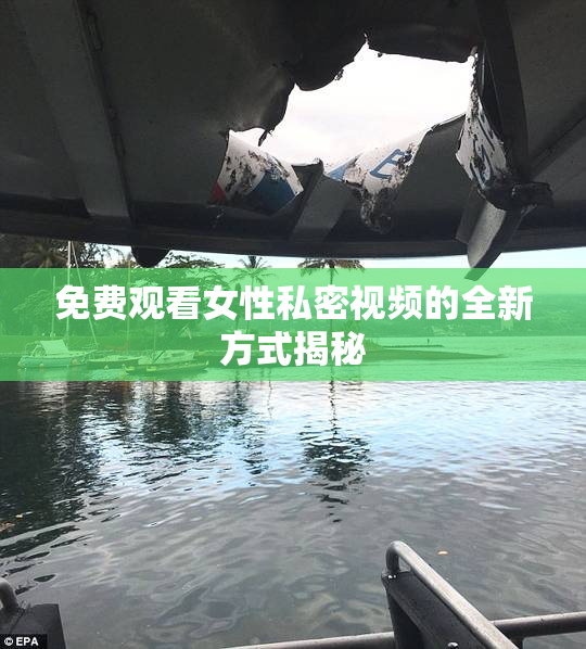 免费观看女性私密视频的全新方式揭秘
