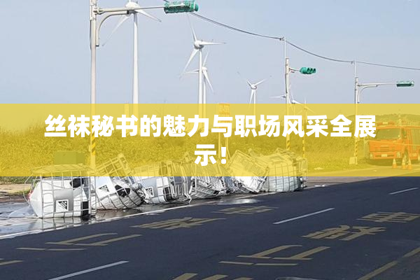 丝袜秘书的魅力与职场风采全展示！